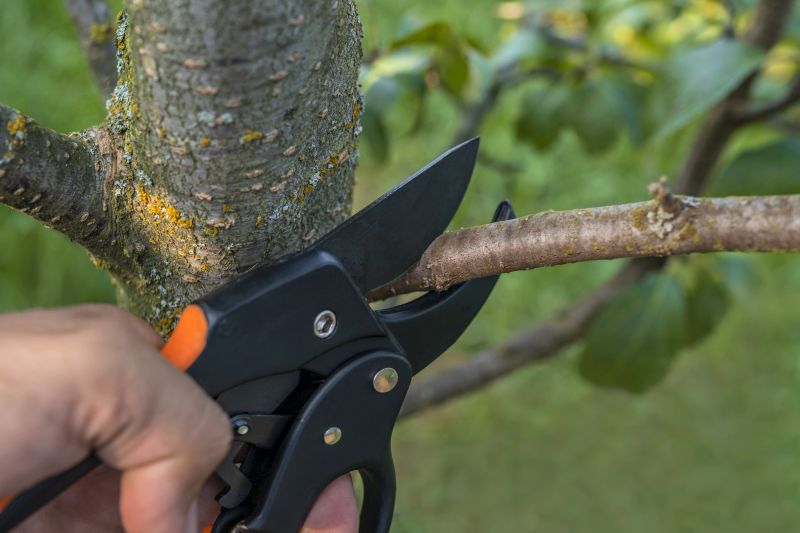 Precision Pruning Equipment