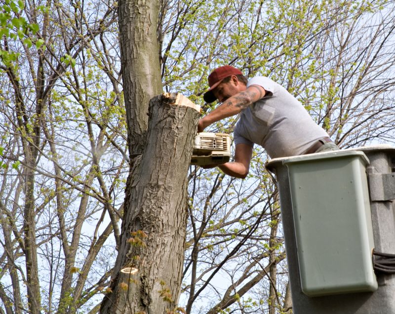 Tree Trimming Service