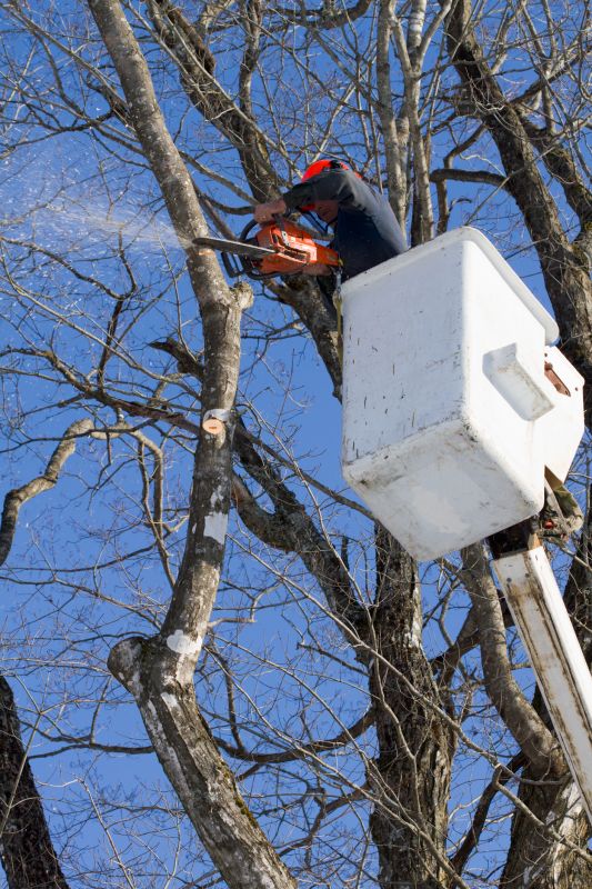 Tree Trimming Equipment